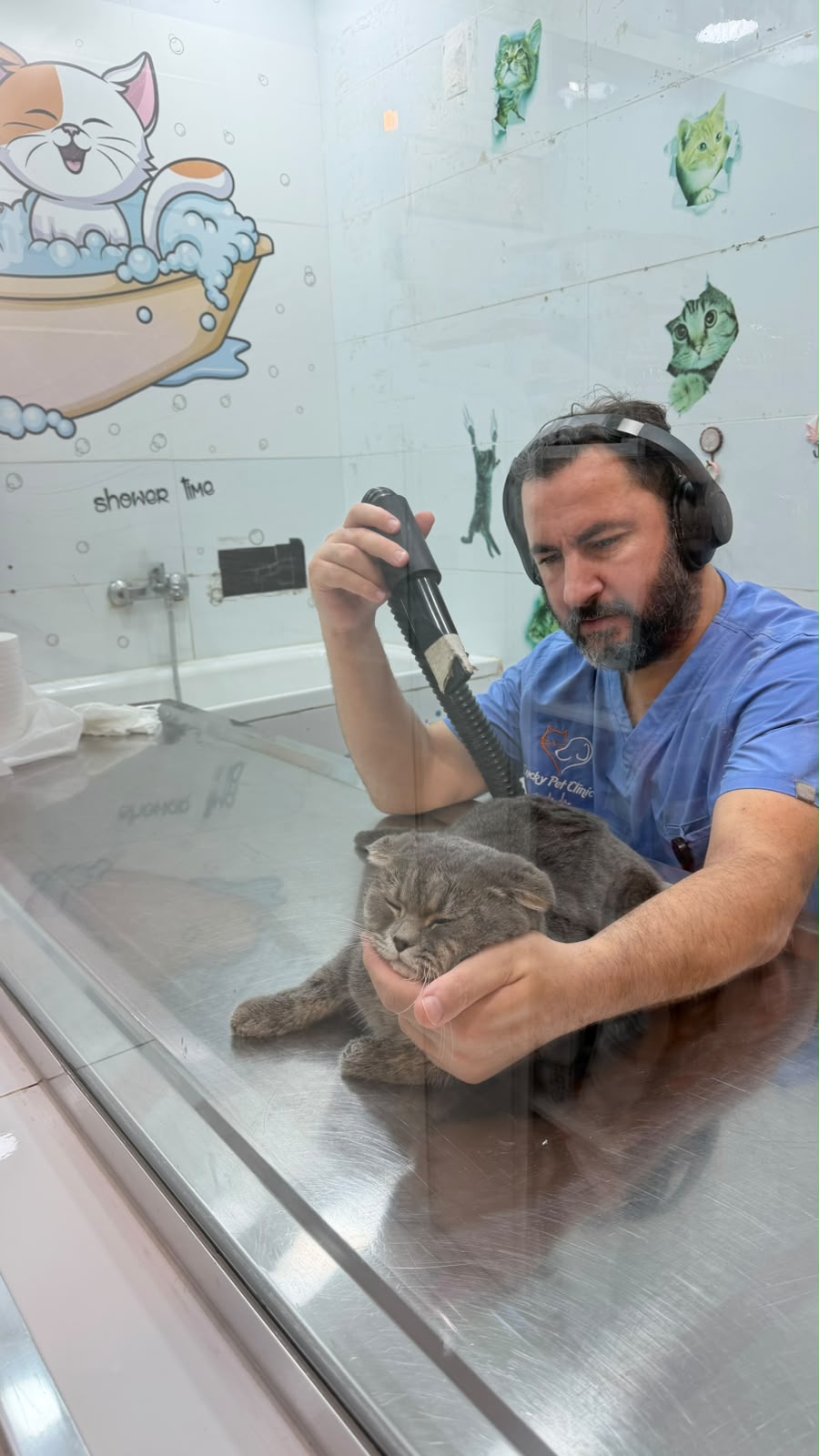 Ultrasound & Diagnostics